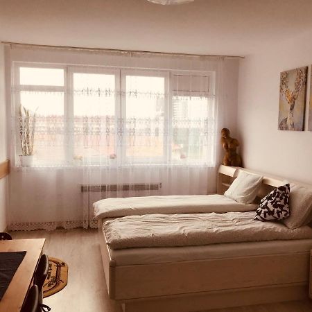 Studio 1O1O1 Apartment Piatra Neamt Bagian luar foto